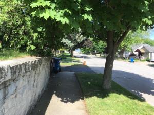 a tree next to a sidewalk next to a wall at Ludington Blue Spruce Inn in Ludington