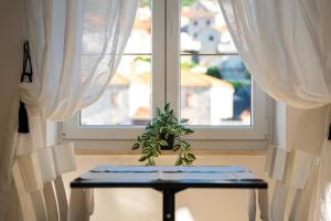 a plant sitting on a table in front of a window at Bed & Breakfast Blanc in Pučišća