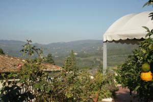 Blick auf einen Garten mit Sonnenschirm und Orangen in der Unterkunft Albergo Villa Sorriso in Fiesole