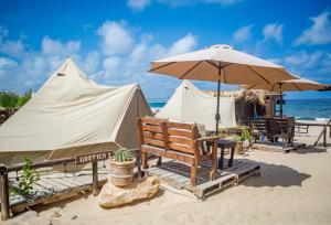 un paio di sedie e un ombrellone in spiaggia di RUSTICO LOUNGE-Tipi With AC in front of the beach a San José del Cabo