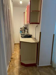 Η κουζίνα ή μικρή κουζίνα στο DD Apartment