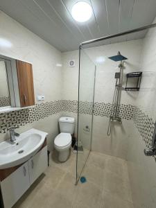 a bathroom with a shower and a toilet and a sink at Orion Villa 1 in Batumi +7 photos