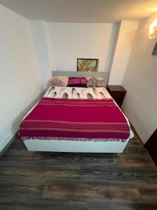 Postel nebo postele na pokoji v ubytování Costin