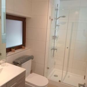 a bathroom with a toilet and a glass shower at HOM I Espectacular Loft con Vista al Mar en Valparaiso in Valparaíso