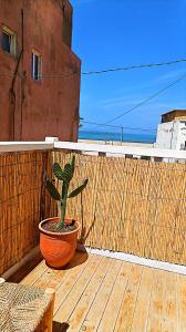 Nuotrauka iš apgyvendinimo įstaigos Banana beach view mieste Aourir galerijos