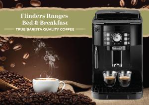 Flinders Ranges Bed and Breakfast的咖啡和沏茶工具
