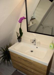 ストラスブールにあるUnik's Home & Terrazaのバスルーム(鏡、植物付)