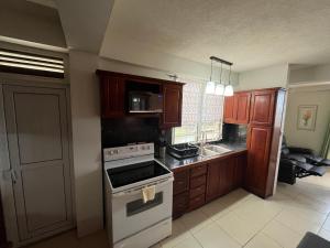 Kuchyň nebo kuchyňský kout v ubytování Balisier Apartments - Apt #1