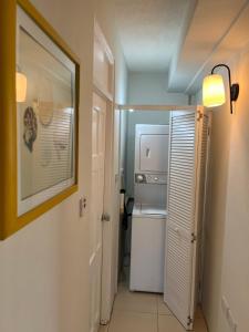 Kuchyň nebo kuchyňský kout v ubytování Balisier Apartments - Apt #1