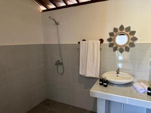 a bathroom with a sink and a mirror at D'Janu Homestay in Sidemen