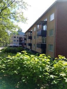 un campo de flores amarillas frente a un edificio en Economy Escape, en Kouvola