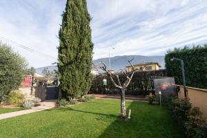 Nespecifikovaný výhled na hory nebo výhled na hory při pohledu z bed and breakfast