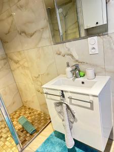 a bathroom with a white sink and a shower at Superbe appartement proche de stations de ski in Thonon-les-Bains +15 photos