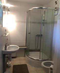 a bathroom with a shower and a sink and a toilet at Zielony Zakątek in Łubno