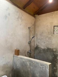 a bathroom with a shower in a wall at Uma d'Nyuh Homestay in Singaraja