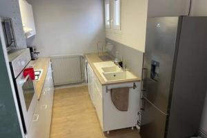 una piccola cucina con lavello e frigorifero di Bel appartement en cœur de ville a Agen