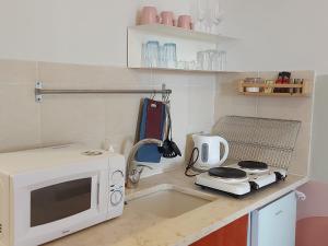 テルアビブにあるZuzu Studio apartmentsのキッチン(電子レンジ、シンク付)