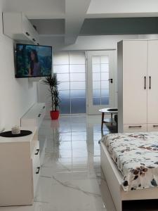 une chambre avec un lit et une télévision sur un mur dans l'établissement Studio Tudor Eforie Nord, à Eforie Nord