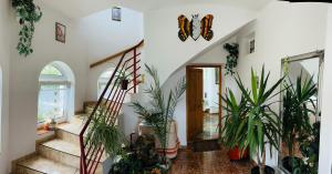 Fotografia z galérie ubytovania Joker Villa Apartmanhaus v destinácii Hévíz