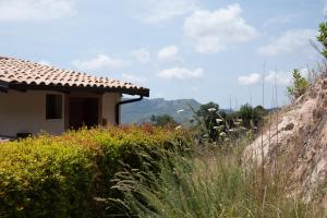 a house on the side of a hill at Locanda degli Ulivi in Mammola