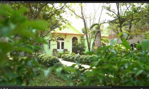 a small green house with trees and bushes at B&H Villa - Villa has swimming pool in Lang Co