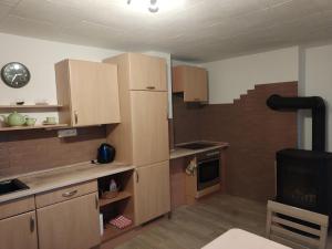 Kuchyň nebo kuchyňský kout v ubytování Apartmán Brdy + 7 fotografií