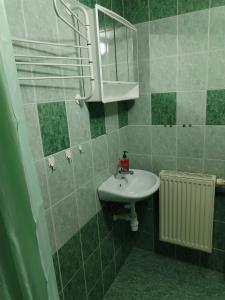 Koupelna v ubytování Apartmán Brdy