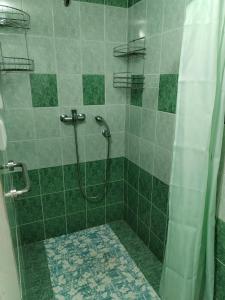 Koupelna v ubytování Apartmán Brdy