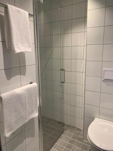 a bathroom with a shower and a toilet at Sitla Hotel & Apartments in Øvre Årdal +23 photos