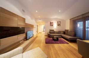 TV a/nebo společenská místnost v ubytování Grischuna Mountain Lodge