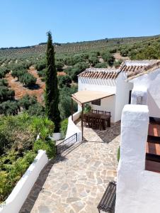 Balkón nebo terasa v ubytování Casa Miguel Montefrio + 37 fotografií