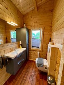 a bathroom with a sink and a toilet in a cabin at Ferienhäuser Altes Land in Jork +18 photos