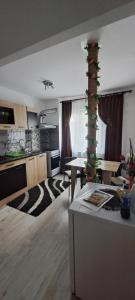 a living room with a table and a kitchen at Apartament Laura in Orşova