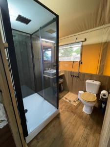 a small bathroom with a shower and a toilet at LODGE Champêtre Glamping in Chadenac +16 photos