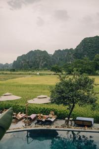 a group of people laying in lounge chairs next to a pool at Tam Coc Windy Fields in Ninh Binh +81 photos