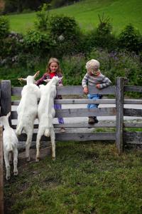 Fotografie z fotogalerie ubytování Farm Resort Geislerhof v destinaci Gerlos