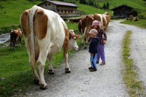 Fotografie z fotogalerie ubytování Farm Resort Geislerhof v destinaci Gerlos