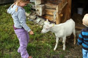Fotografie z fotogalerie ubytování Farm Resort Geislerhof v destinaci Gerlos