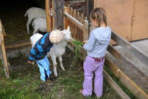 dos niños pequeños alimentando a una oveja por una valla en Farm Resort Geislerhof en Gerlos