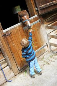 Fotografie z fotogalerie ubytování Farm Resort Geislerhof v destinaci Gerlos