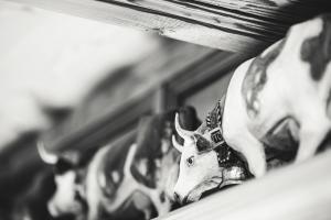 Fotografie z fotogalerie ubytování Farm Resort Geislerhof v destinaci Gerlos