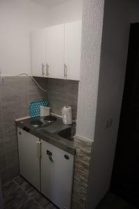 Kuchyň nebo kuchyňský kout v ubytování Apartments Božena