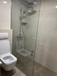 une salle de bain avec douche et toilettes dans l'établissement Apartman BUKOVAC, à Žabljak