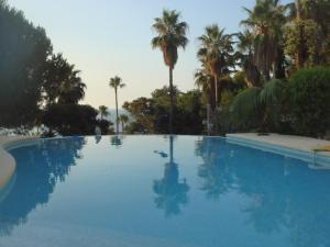 瓦洛里Maison Louijane的一座棕榈树环绕的大型游泳池