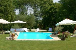 a swimming pool in a yard with umbrellas at La Casa Degli Elfi in Manziana