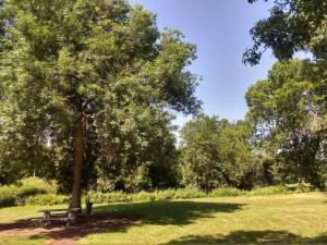 a park with a bench under a tree at Le domaine du Clair Mont entre Beauval et châteaux in Monthou-sur-Cher