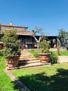 ein Haus mit zwei großen Topfpflanzen auf der Treppe in der Unterkunft Agriturismo La Collinetta in Brecciarola + 9 Fotos
