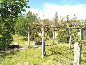 Gallery image of Maison avec jardin à Figeac in Figeac +5 photos