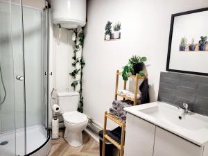 Koupelna v ubytování appartement le cocon doré