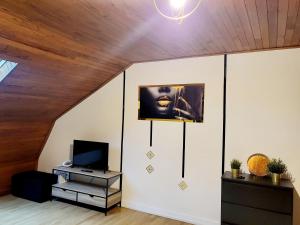 TV a/nebo společenská místnost v ubytování appartement le cocon doré